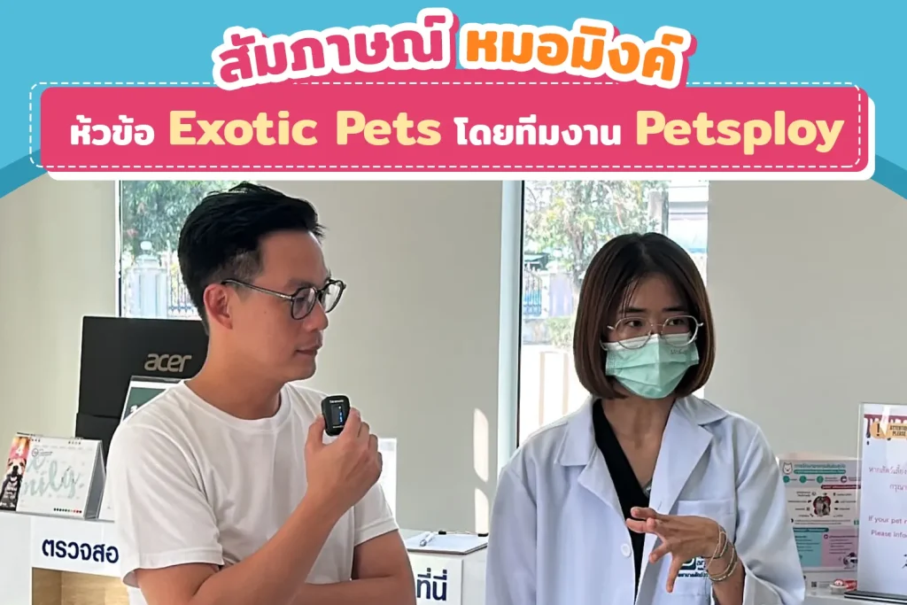 สัมภาษณ์ สพ.ญ. ภาวิดา วิภูสันติ โดยทีมงาน petsplay