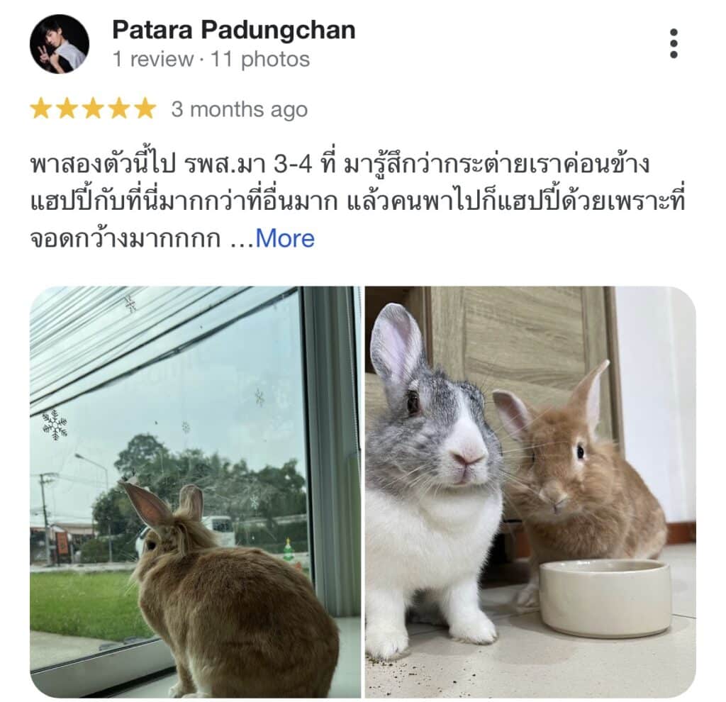 รีวิวรักษากระต่าย